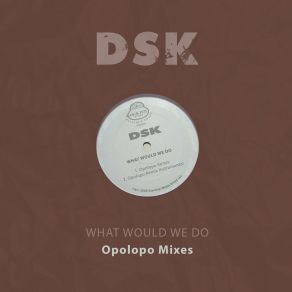 Download track What Would We Do (Opolopo Remix) Opolopo