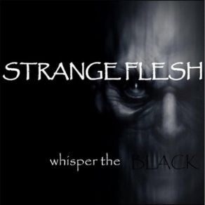 Download track Maker Strange Flesh