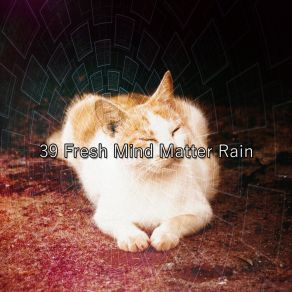 Download track Dripping Storm Meditation Rain Sounds