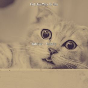 Download track Kittens - Dreams First Class Music For Cats