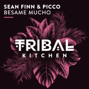 Download track Besame Mucho (Extended Mix) Picco