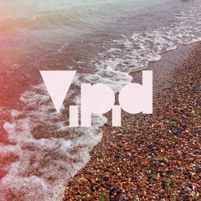 Download track Surf Rider Vipid