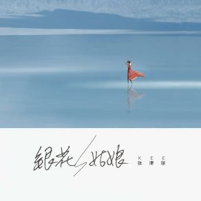 Download track 银花姑娘 Zhang Jin Di