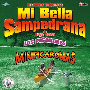 Download track Minipicaronas De Marimba Pura: El Valle De La Ermita / Tajumulco Querido Marimba Orquesta Mi Bella Sampedrana