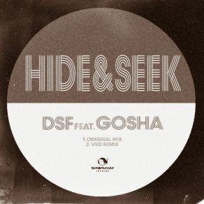 Download track Hide & Seek (VKD Remix) DSF