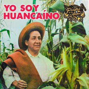 Download track Yo Soy Huancaíno Picaflor De Los Andes