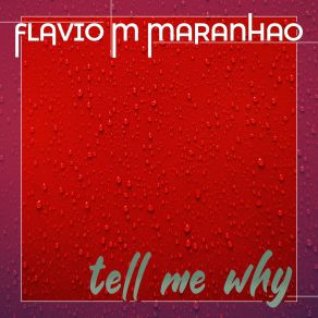 Download track Tell Me Why FLAVIO M MARANHAO