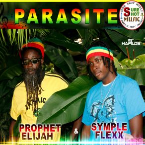 Download track Parasite Symple Flexx