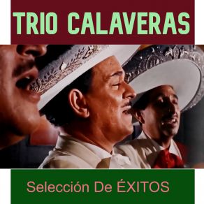 Download track Las Nuevas Cuatro Milpas Trío Calaveras