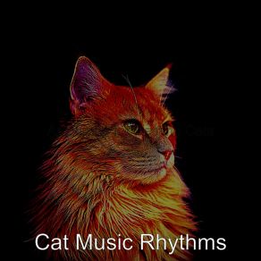 Download track Funky Ambiance For Kittens Cat Music Rhythms