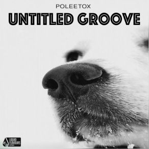 Download track Untitled Groove (Original Mix) PoLEEtox