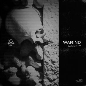 Download track Redel (Swarm Intelligence Remix) WarinDSwarm Intelligence