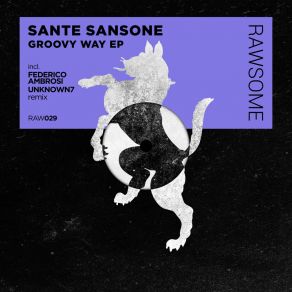 Download track Damn (Original Mix) Sante Sansone