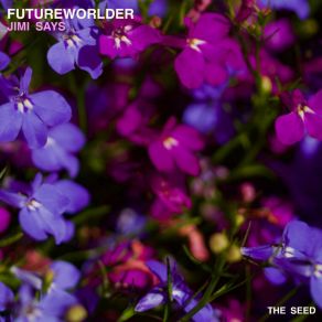 Download track Walk In The Clouds (Original Mix) Futureworlder