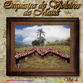 Download track Pingo D´água Orquestra De Violeiros De Mauá