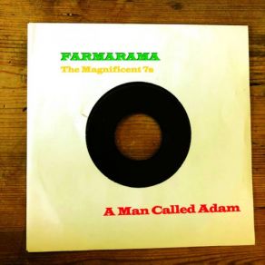 Download track Ou Pas (Carrot Green Remix - Radio Edit) A Man Called Adam