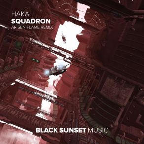 Download track Squadron (Arisen Flame Extended Remix) Haka