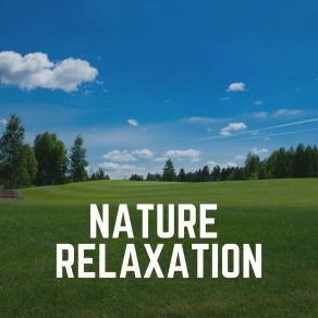 Download track Calming Breeze, Pt. 16 Sons De La Nature