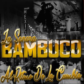 Download track Si La Vieran La Sonora Bambuco