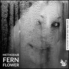 Download track Soft Focus (Original Mix) Methodub