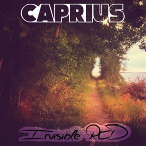 Download track Searching (Interlude) Caprius