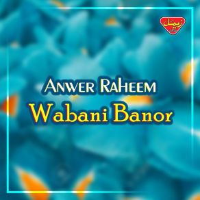 Download track Haniyan Zaheran Anwer Raheem