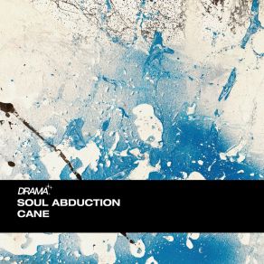 Download track Garden (Zisko Remix) Soul AbductionZisko