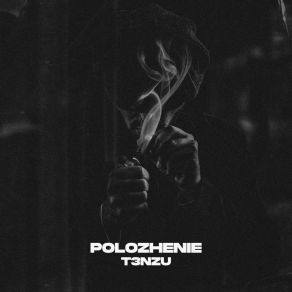 Download track Polozhenie (Sped Up) T3NZU