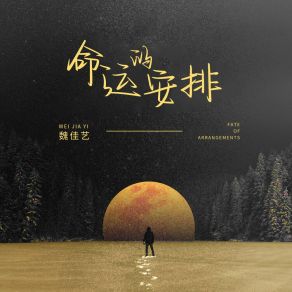 Download track 命运的安排 (伴奏) 魏佳艺