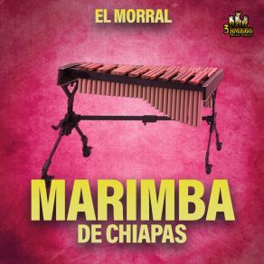 Download track Un Viejo Amor Marimba De Chiapas