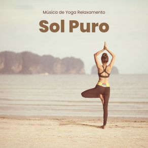 Download track Silencio Y Luz Música De Yoga Relaxamento