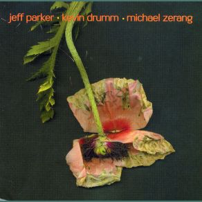 Download track Lacerate Jeff Parker, Michael Zerang, Kevin Drumm