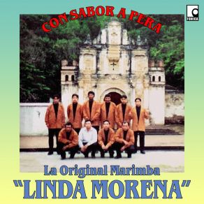 Download track Colonia Monte Real La Original Marimba Linda Morena