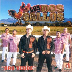 Download track Paloma Sin Nido Los Dos Gallos