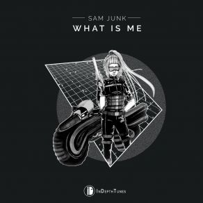 Download track What Is Me Sam Junk