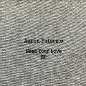 Download track Shape Me Aaron Palermo