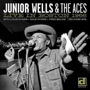 Download track Theme Junior Wells, The Aces