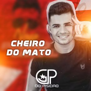 Download track Cheiro Do Mato Gerliel