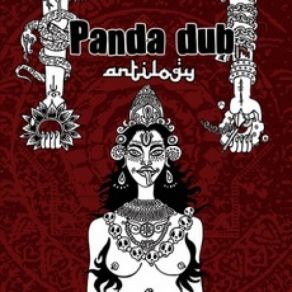 Download track Visions Of Dub Panda Dub