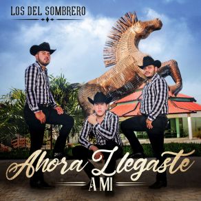 Download track Ahora Llegaste A Mi Los Del Sombrero