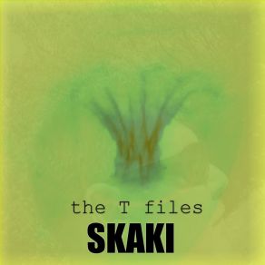 Download track T5 (Original Mix) Skaki