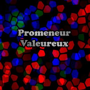 Download track Les Saisons Que J'aimais Promeneur Valeureux