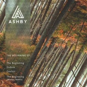 Download track Endure Ashby