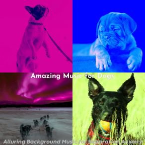 Download track Cultured Music For Lonely Dogs Amazing Music For Dogs