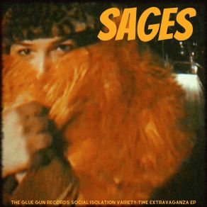 Download track Disco Bird Sages