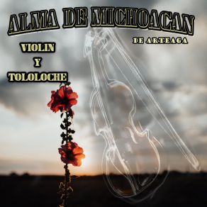 Download track Danza La Chachita Alma De Michoacan