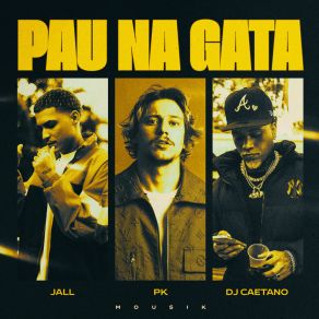 Download track Pau Na Gata (Remix) MousikRemix, DJ 2F, Os Quebradeiras