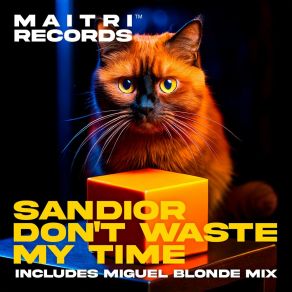 Download track Don't Waste My Time (Miguel Blonde Radio Edit) Sandior