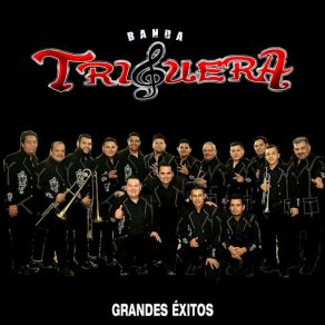 Download track Compréndelo Banda Triguera