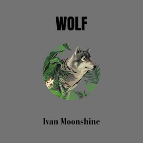 Download track Different Ivan Moonshine